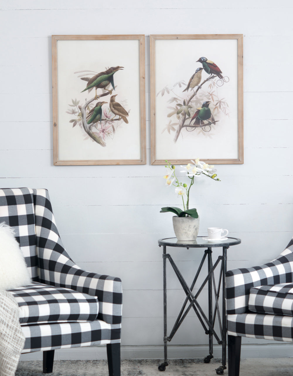 S/2 Bird Framed Print, 19.5x27.5'