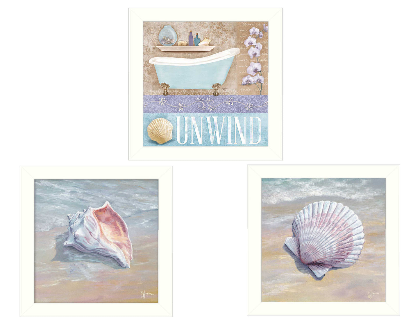 'Shells II Collection' 3-Piece Vignette By Mollie B. and G. Janisse, Printed Wall Art, Ready To Hang Framed Poster, White Frame