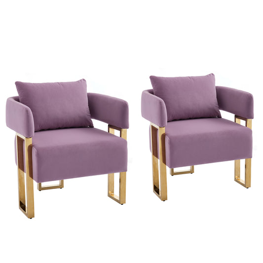 TS Modern Decorative Chair, Lilac Velvet Upholstered Side Chair with Gold Metal Legs, No Wheels, 2PCS for Living Room, Dressing Area, Reception, Office