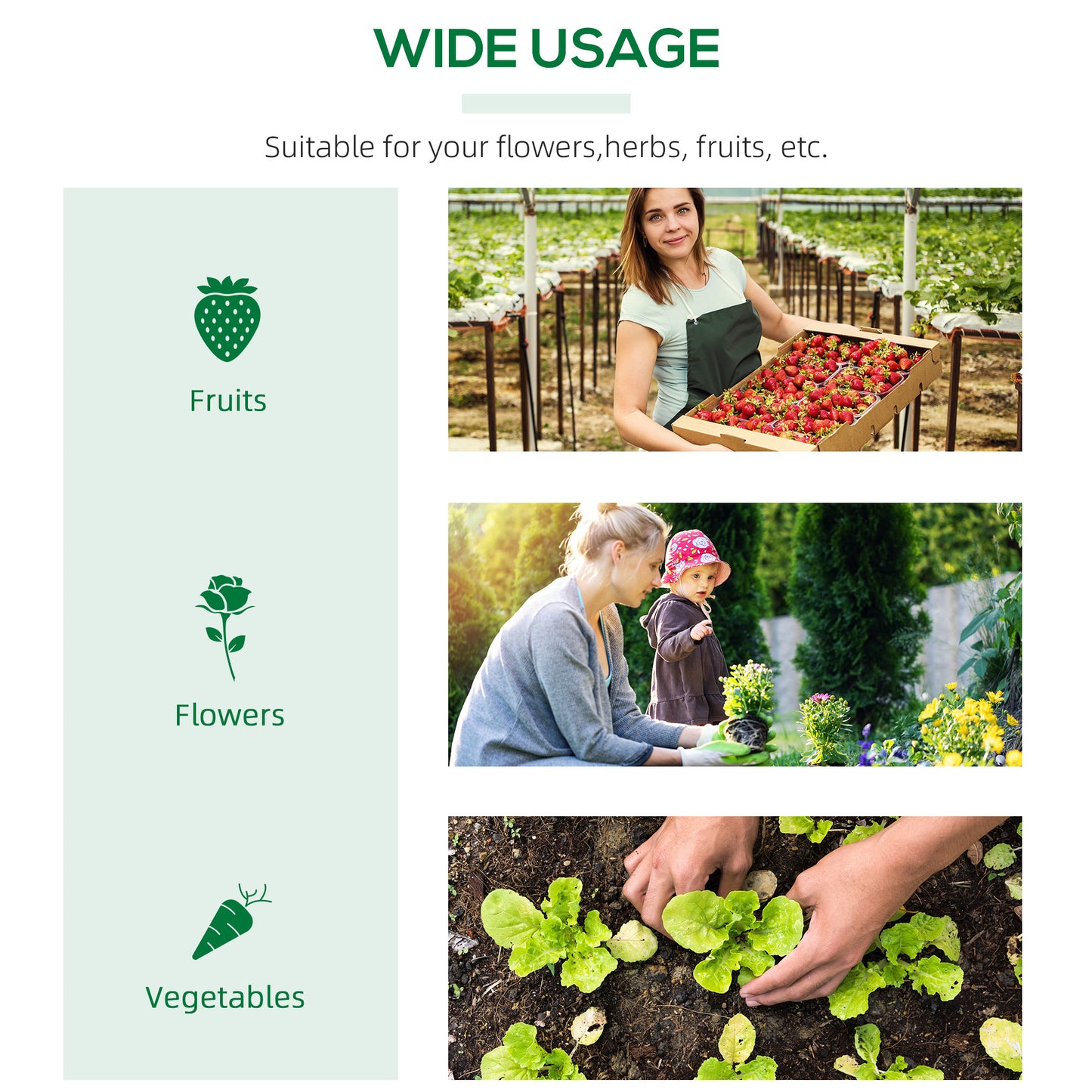 Outsunny 4' x 2' x 2' Portable Mini Greenhouse, Small Green House with PE Cover, Roll-up Zippered Windows for Indoor, Outdoor Garden, Green