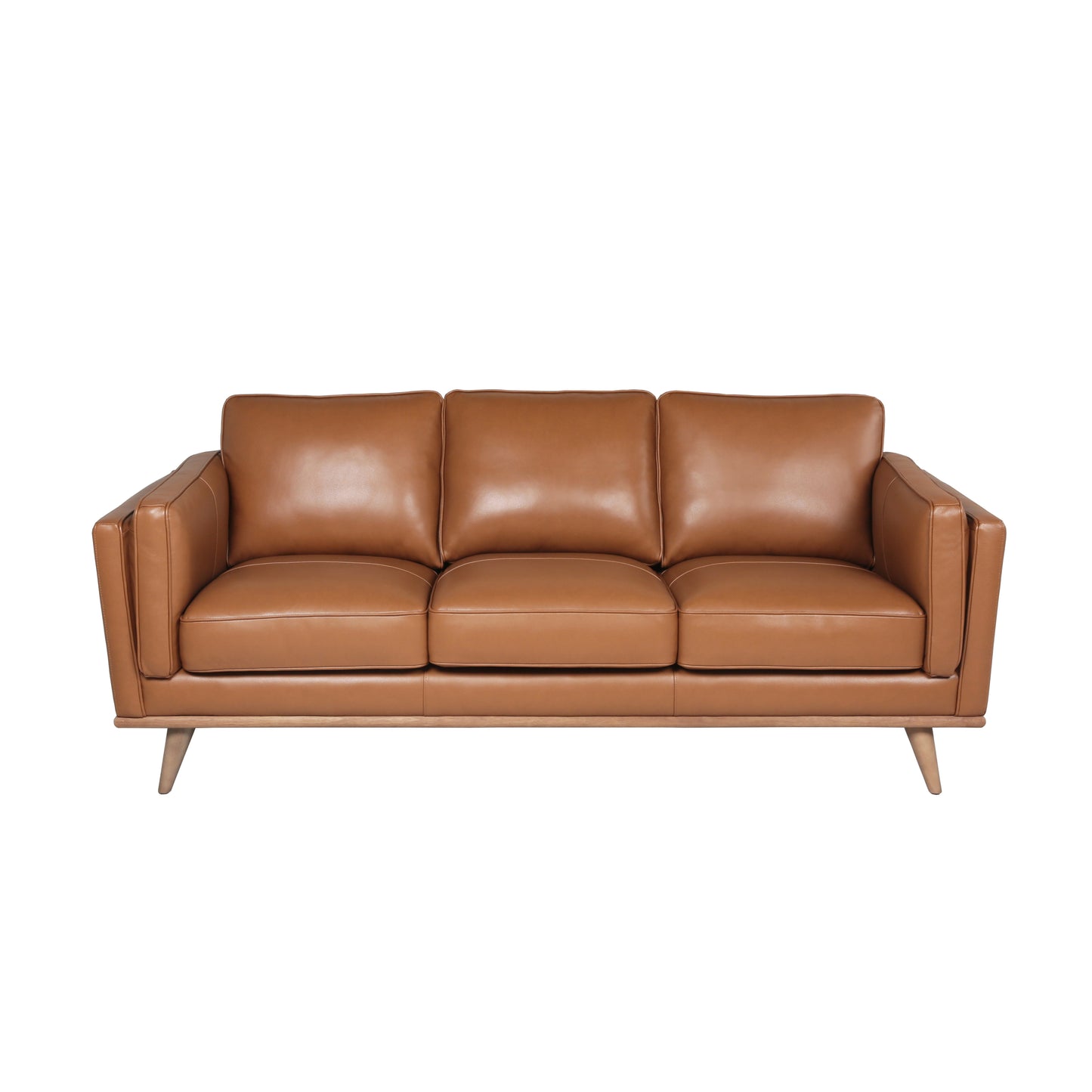 Modern Leather Sofa