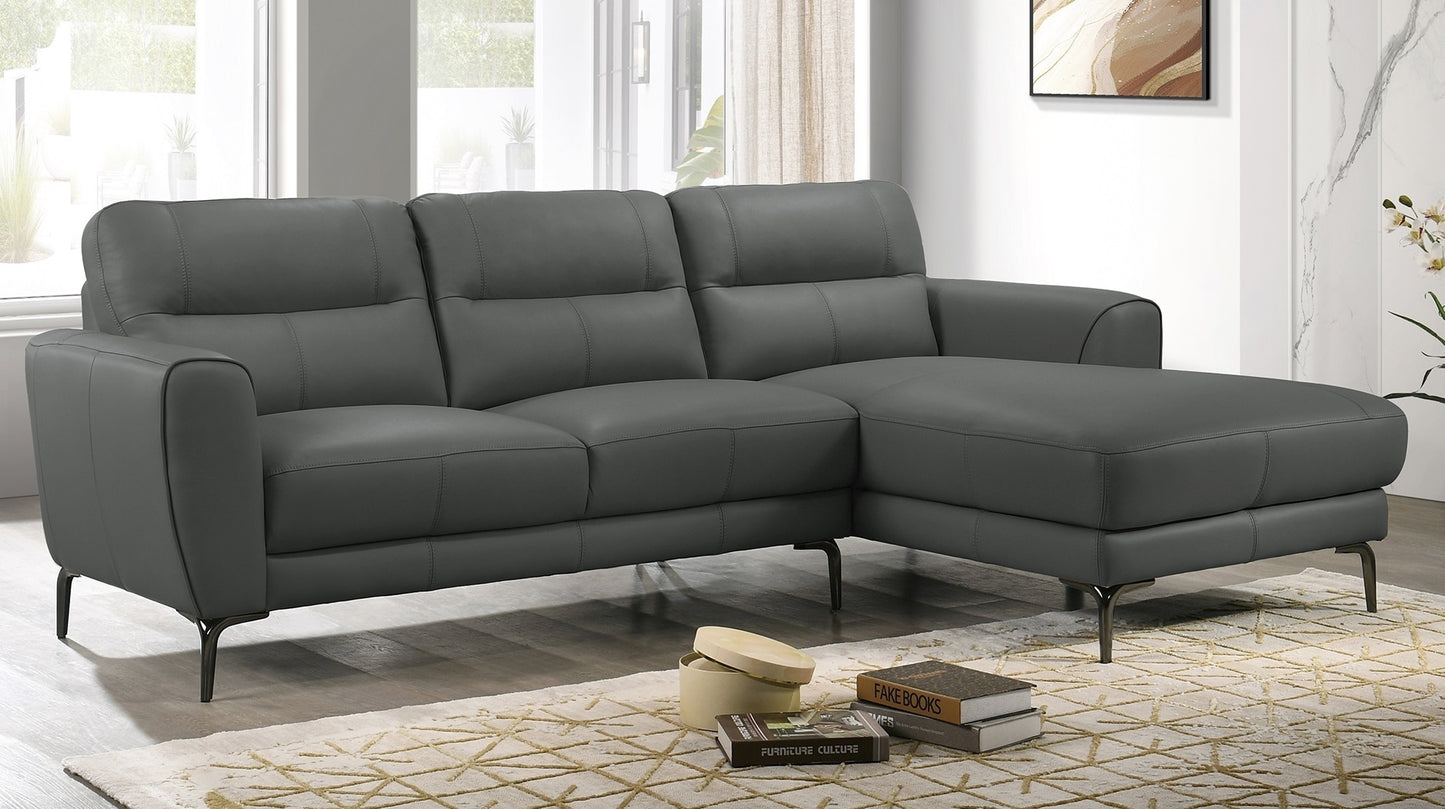 Top Grain Leather Anthracite 2pc Sectional Set Right Facing Chaise Left Facing Sofa Living Room Furniture