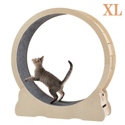 Cat Exercise Wheel - Indoor Cat Treadmill with Carpeted Running Track, Safety Cat Treadmill with Latch, Weighted Wheel for Cats, Add Fun to Cat Exercise, Natural Wood Color,43.3"L x 13.2"W x 45.9"H