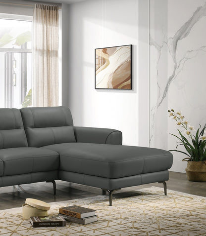 Top Grain Leather Anthracite 2pc Sectional Set Right Facing Chaise Left Facing Sofa Living Room Furniture