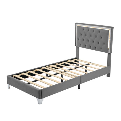 Twin Size Upholstered Bed Frame with LED Lights,Modern Velvet Platform Bed with Tufted Headboard,Grey