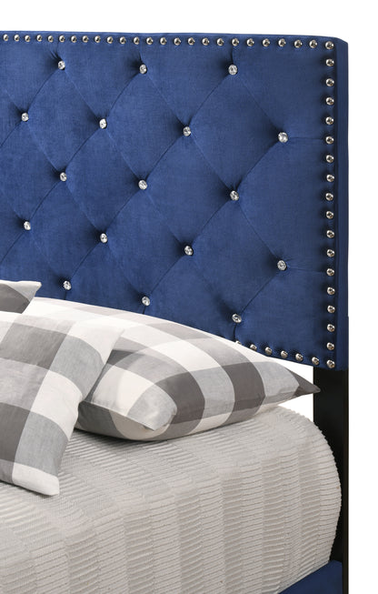 Stylish Twin Bed In Navy Blue Hue