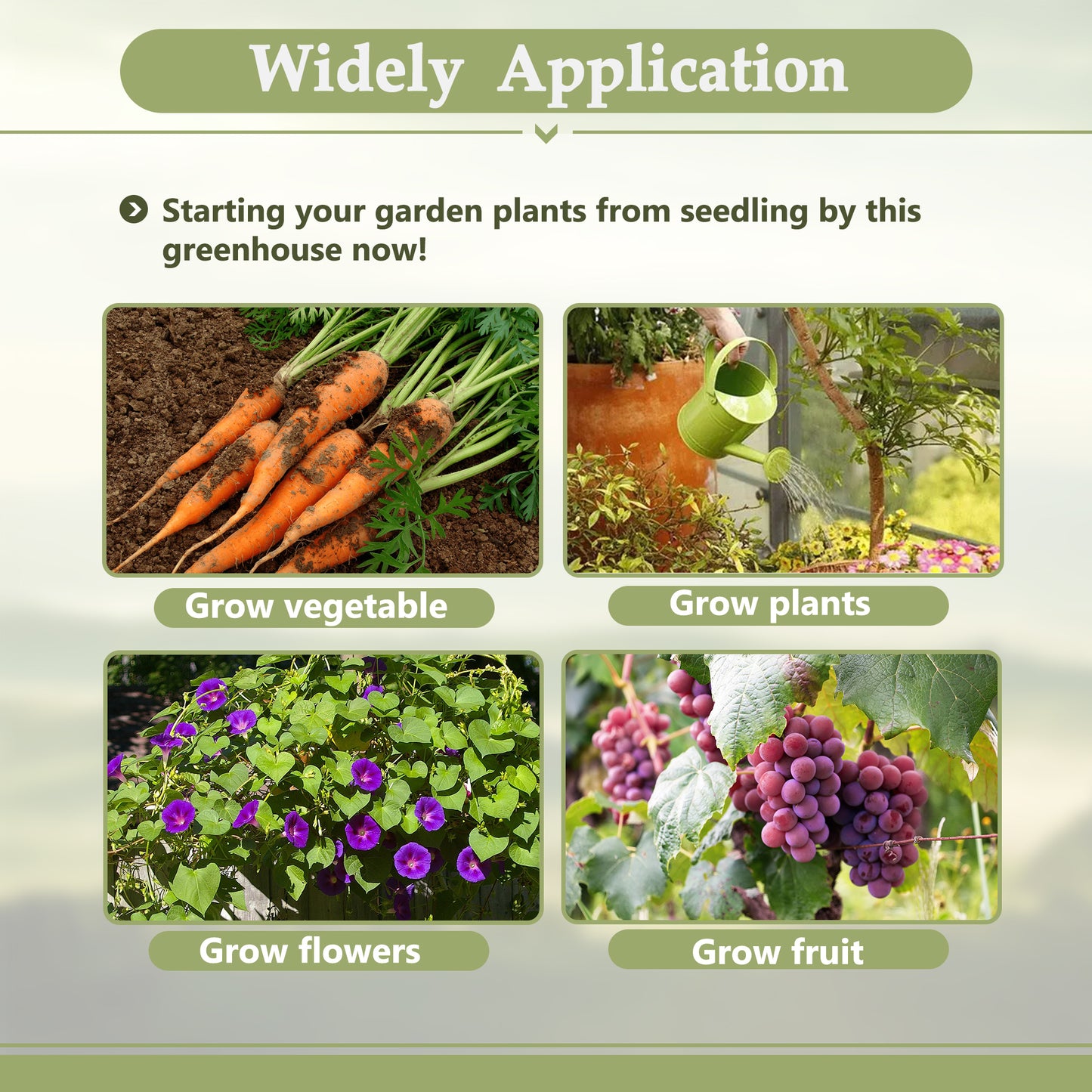 6' x 12' Thicked Polycarbonate Greenhouse, Greenhouse with Double Flush Door, Rain Gutter and Ventilation Window, Green House for Sunroom, Garden, Backyard, Walk-in Large Winter Greenhouse