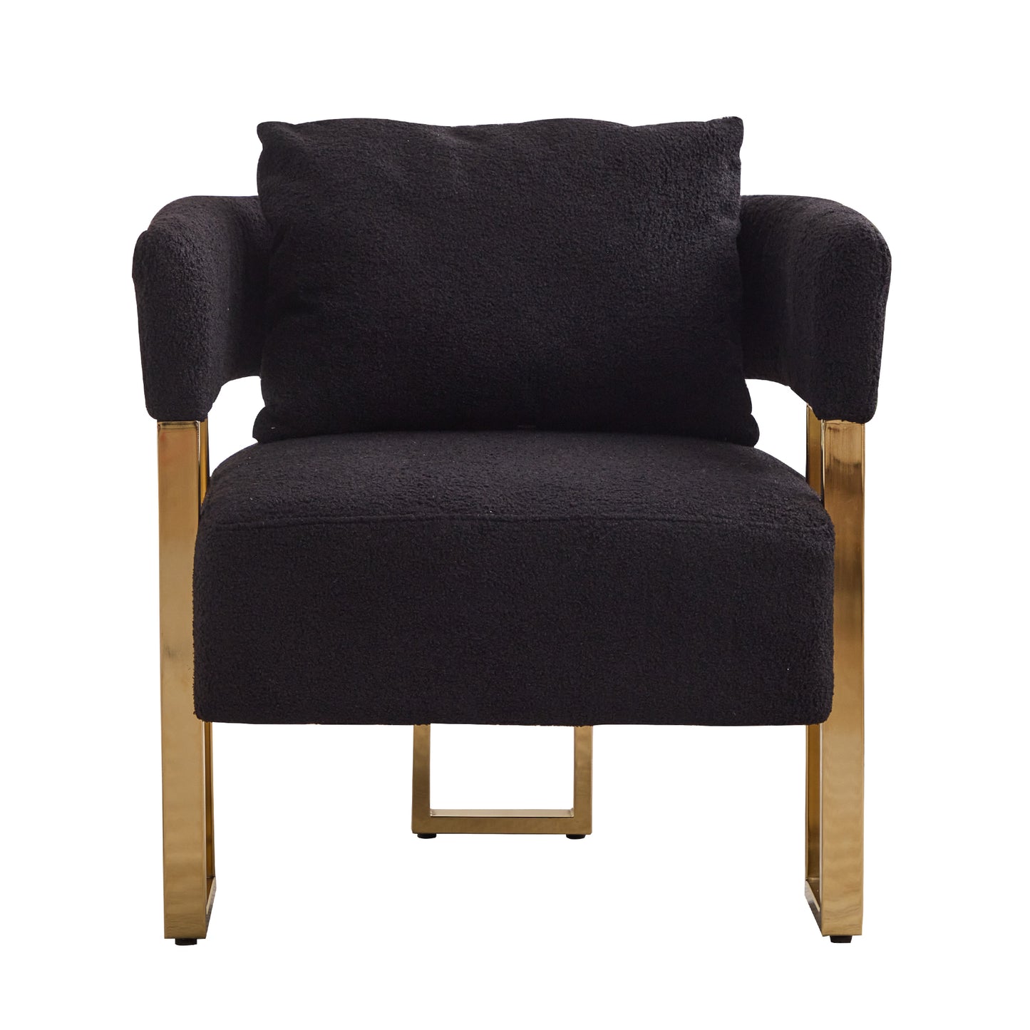 TS Modern Decorative Chair, Side Chair with Gold Metal Legs, Teddy Fleece Upholstered, Black, 2PCS Set