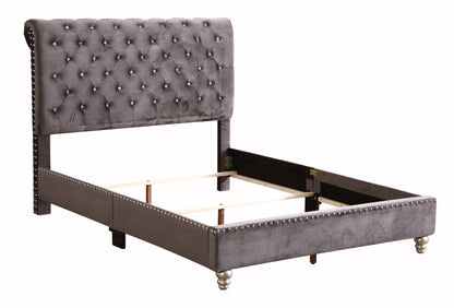 Stylish Transitional Upholstered Bed