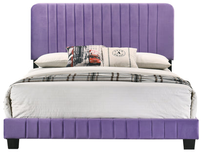 Stylish Contemporary Queen Bed In Vibrant Purple