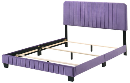 Stylish Contemporary Queen Bed In Vibrant Purple