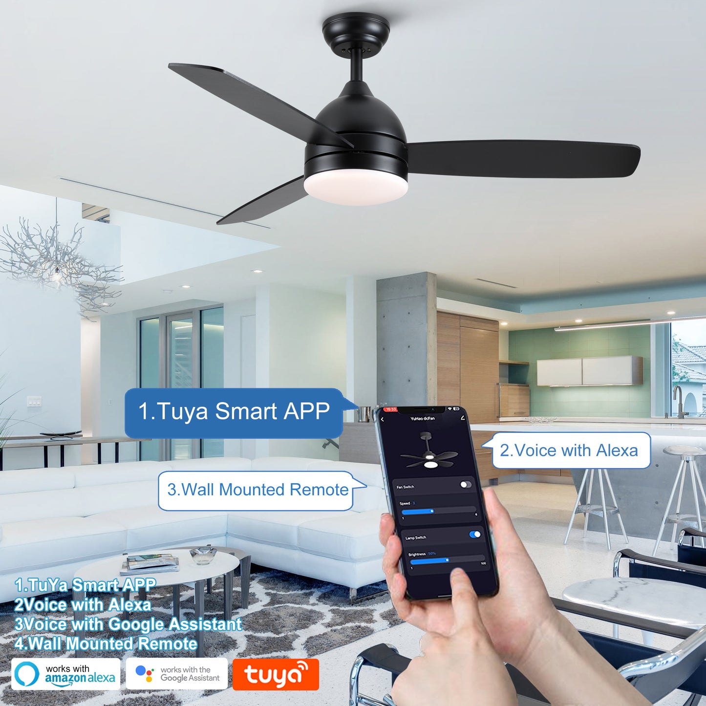 Smart 48 in. integrated LED Balck Ceiling Fan with Remote Contorl and Plywood Blades