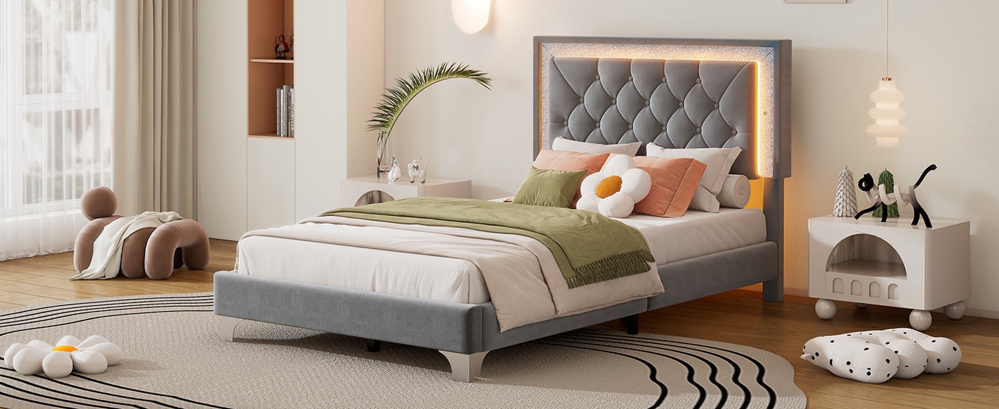 Twin Size Upholstered Bed Frame with LED Lights,Modern Velvet Platform Bed with Tufted Headboard,Grey