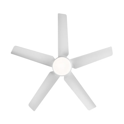 48 In Intergrated LED Ceiling Fan with White ABS Blade