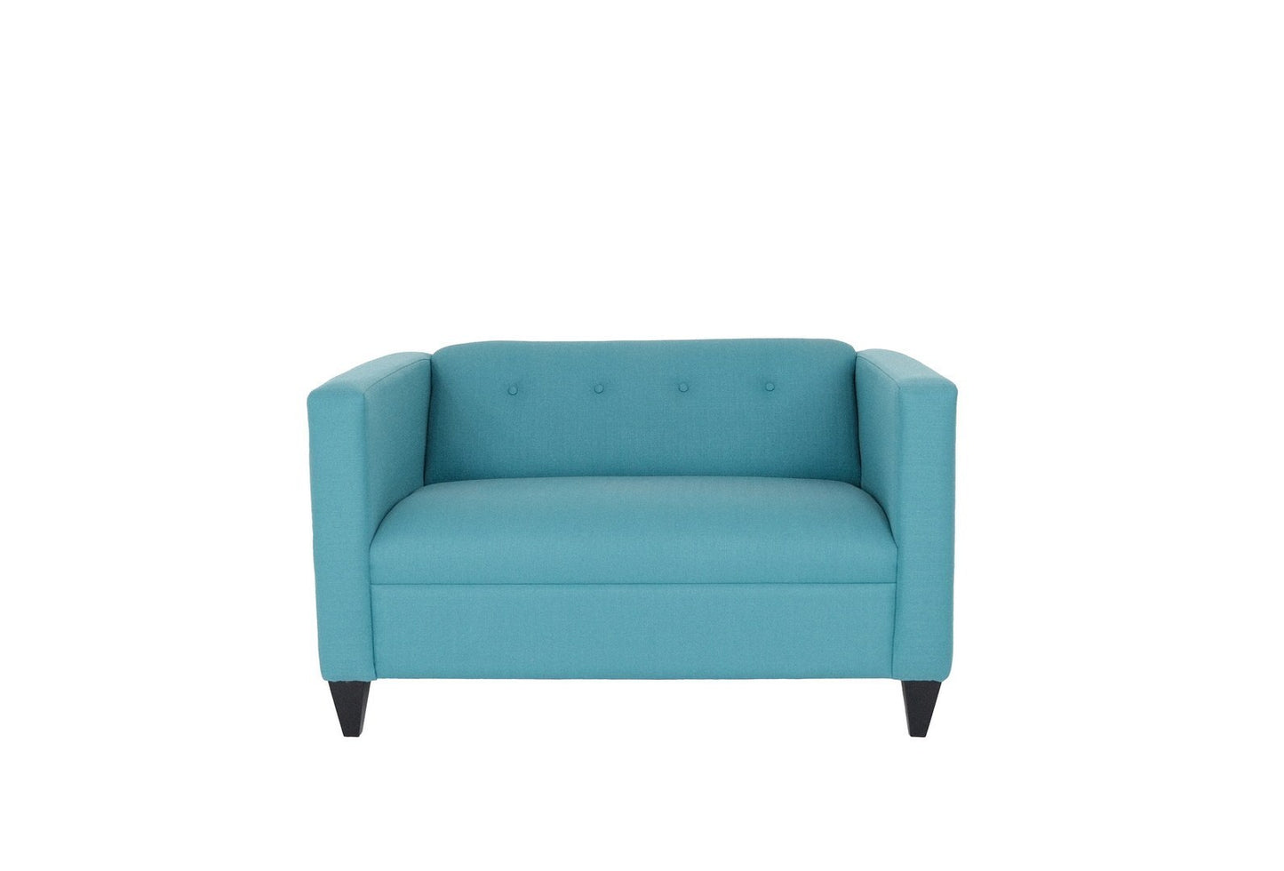 Teal Loveseat Sofa for Living Room, Modern Décor Love Seat Mini Small Couches for Small Spaces and Bedroom with Solid Wood Frame (Polyester Nylon)