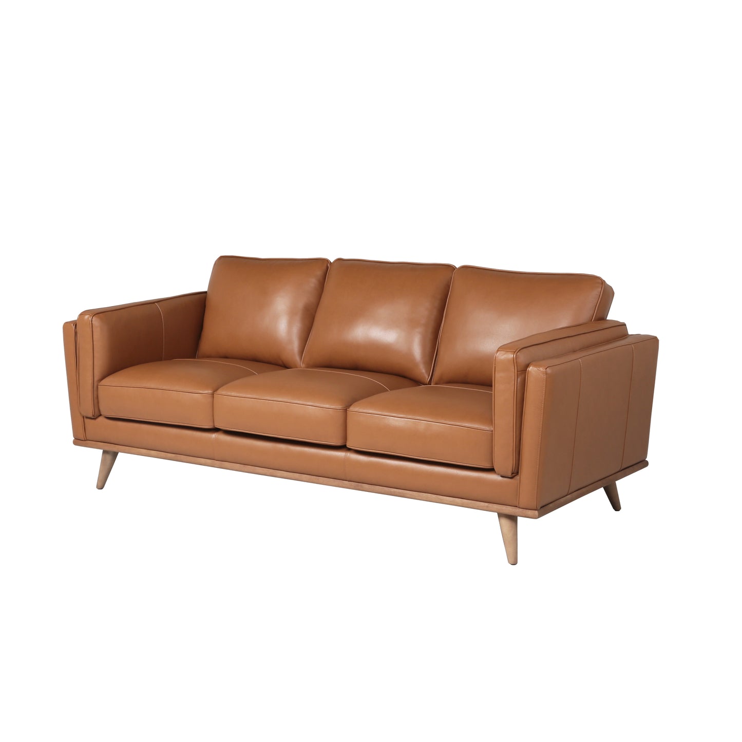 Modern Leather Sofa