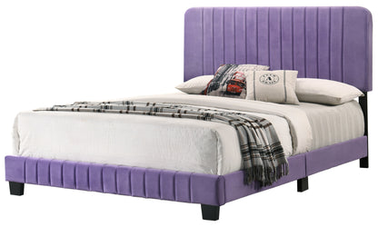 Stylish Contemporary Queen Bed In Vibrant Purple