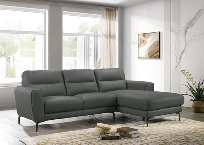 Top Grain Leather Anthracite 2pc Sectional Set Right Facing Chaise Left Facing Sofa Living Room Furniture