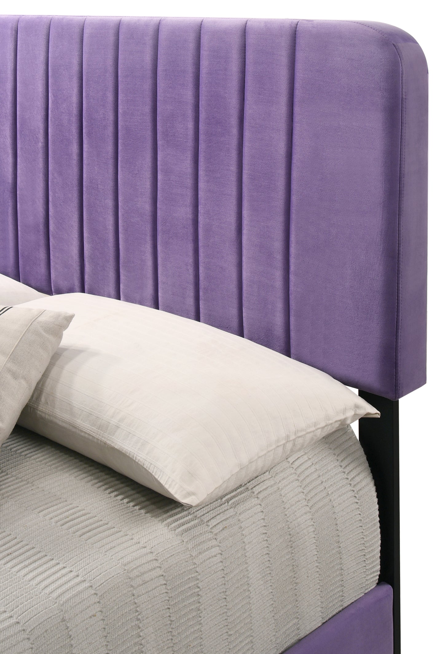 Stylish Contemporary Queen Bed In Vibrant Purple