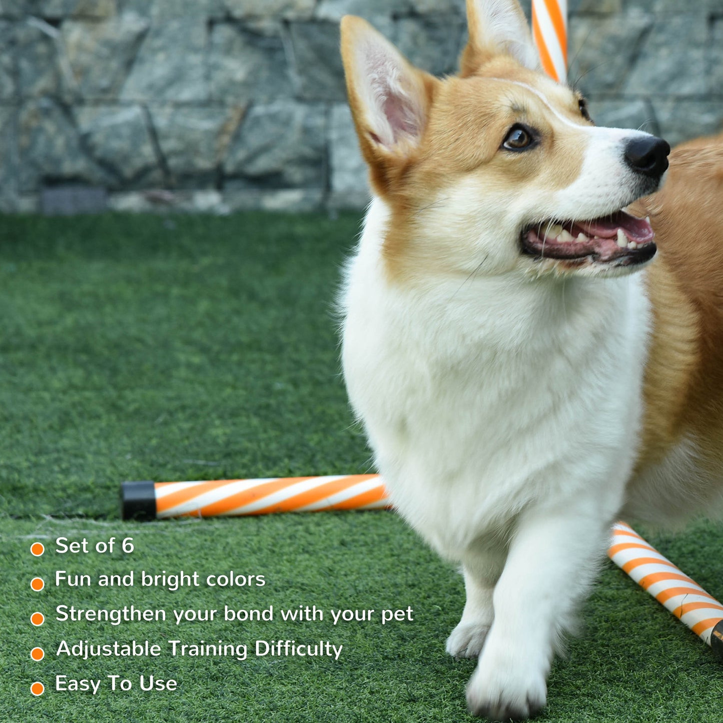 PawHut 6 Piece Dog Agility Training Equipment with Hurdle Bag and Whistle, Orange and White