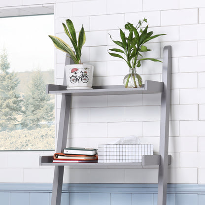 5 - Tier Ladder Shelf